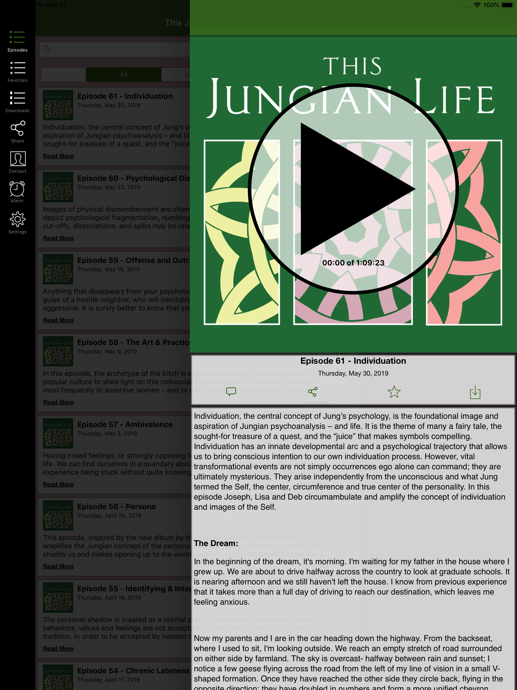 This Jungian Life