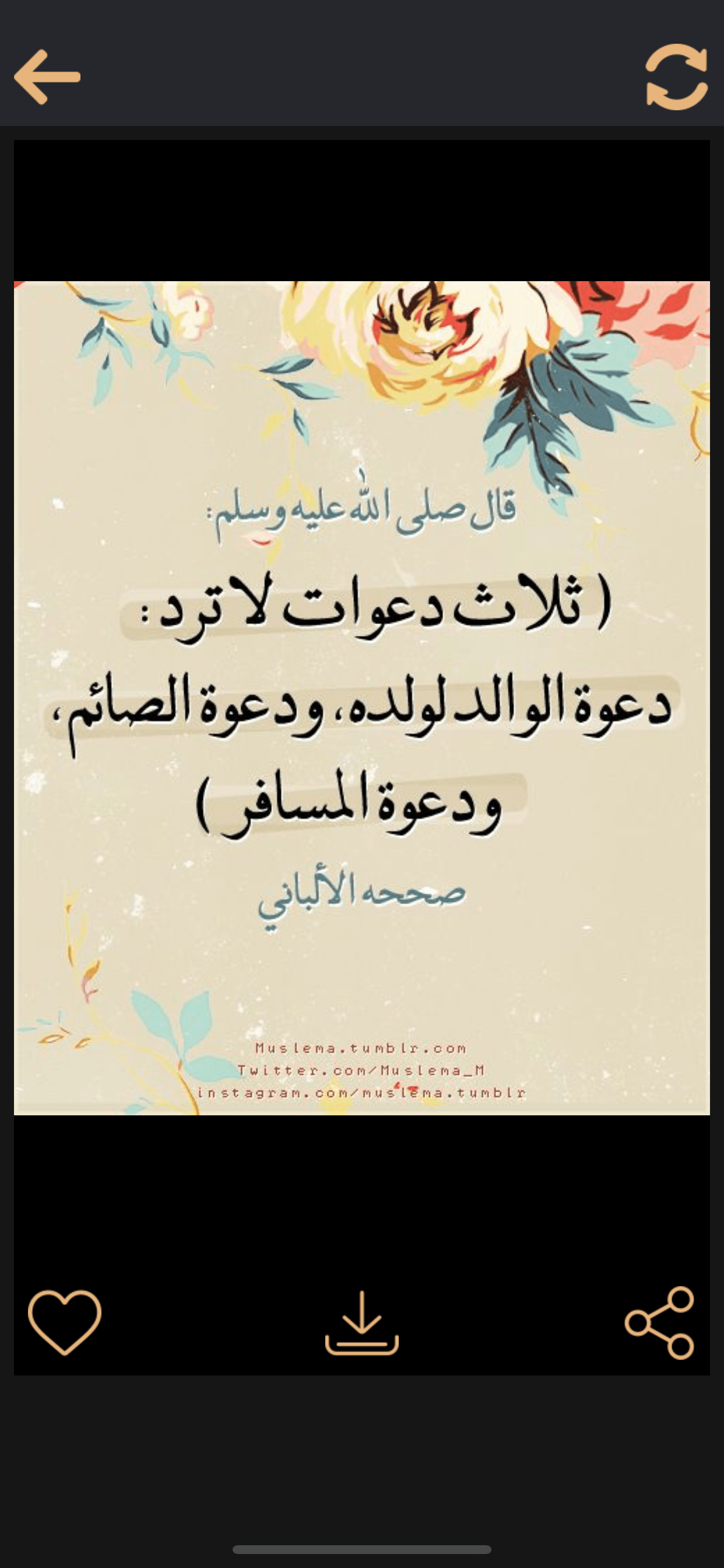 صور اسلامية منوعة