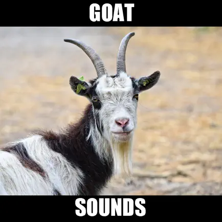 Goat Sounds Animal Sounds.!, Читы