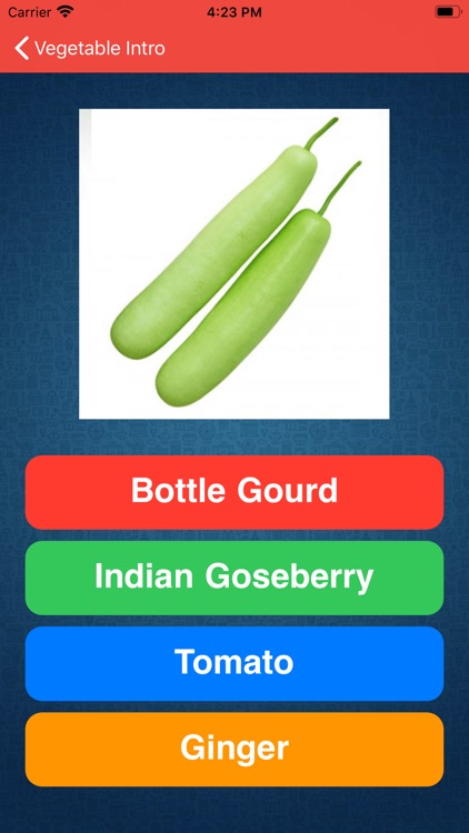 Vegetable Intro screenshot-4