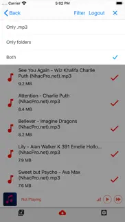 music player offline iphone screenshot 1