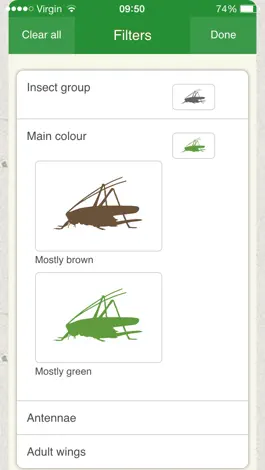 Game screenshot iRecord Grasshoppers apk