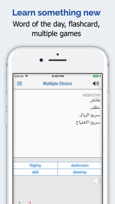 Arabic Dictionary Premium screenshot 5