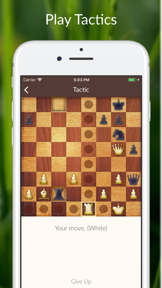 #1. Chess Tactics and Lessons (iOS) Podle: Lockwood Productions, LLC