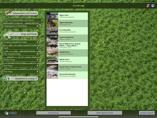 Screenshot #4 pour EuroFrogs
