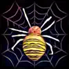 Atomic Spider App Support