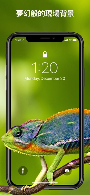 Live Wallpapers & Photo Effect(圖2)-速報App