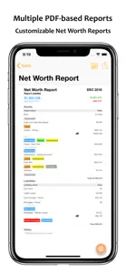 NetWorth Pro 2 screenshot #7 for iPhone