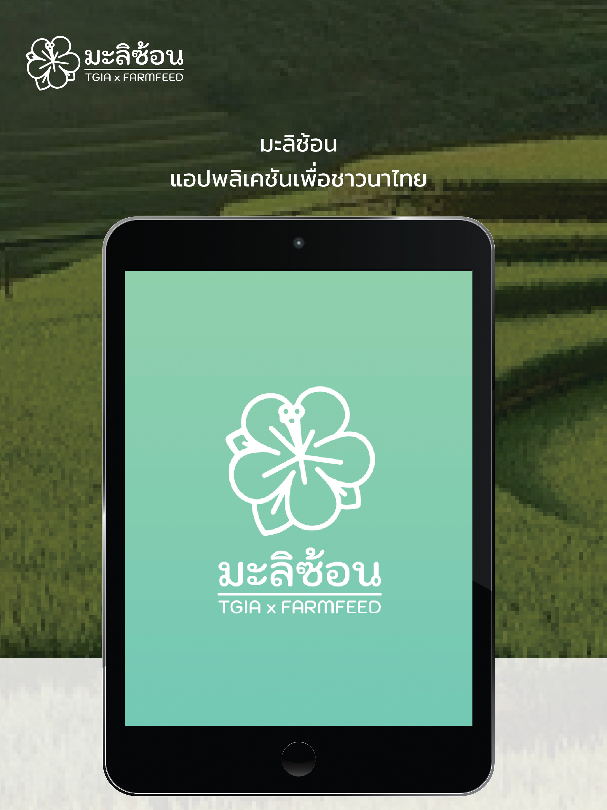 มะลิซ้อน