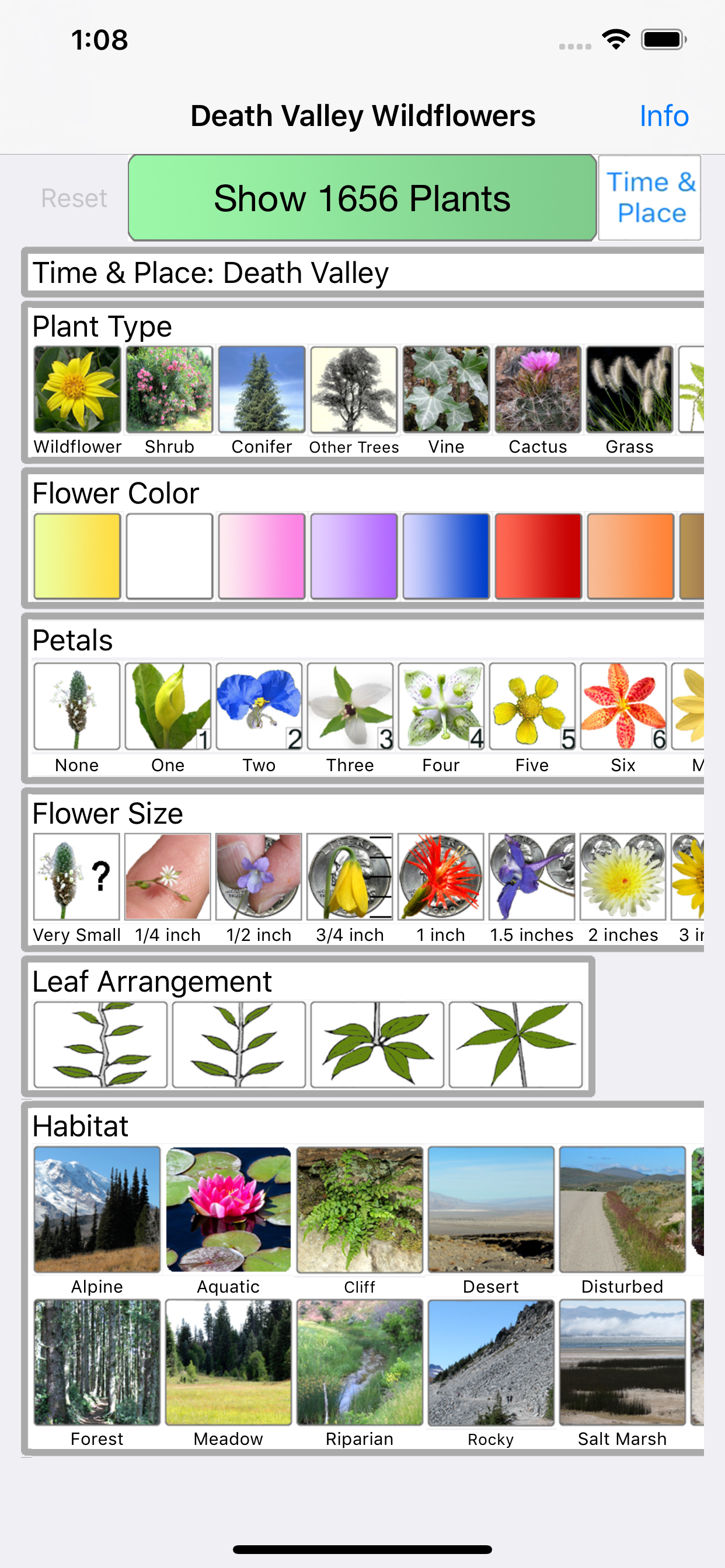 Death Valley Wildflower Search