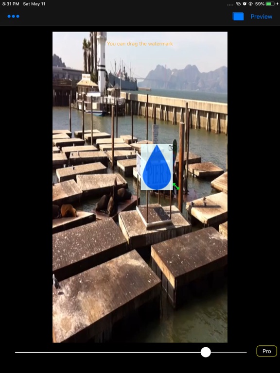 Screenshot #4 pour Watermark My Video