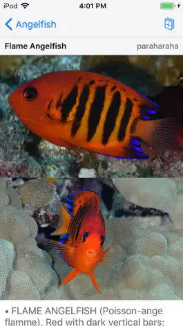Game screenshot Tetiaroa Fish Guide apk