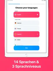 itranslate lingo ipad bildschirmfoto 2