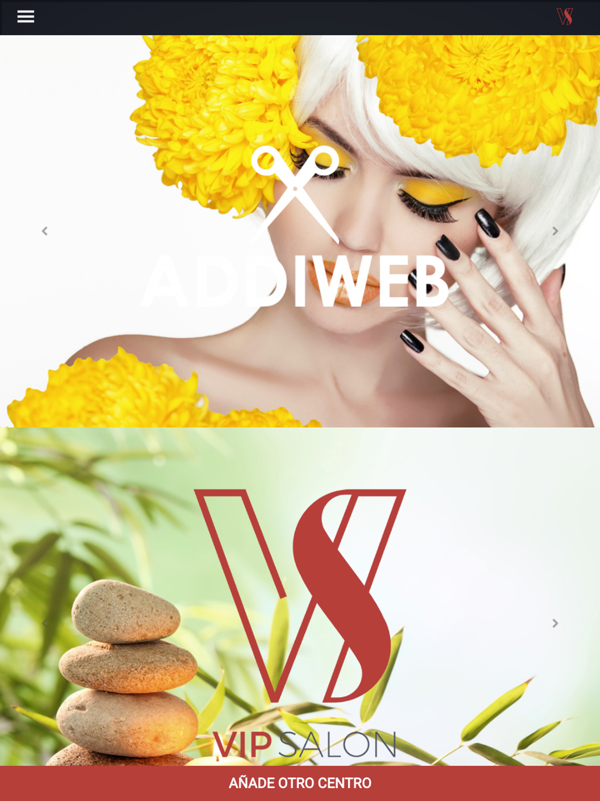 VIPSalon - DunaSoft