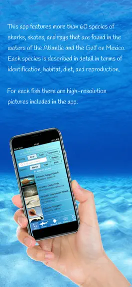 Game screenshot Sharks and Rays mod apk