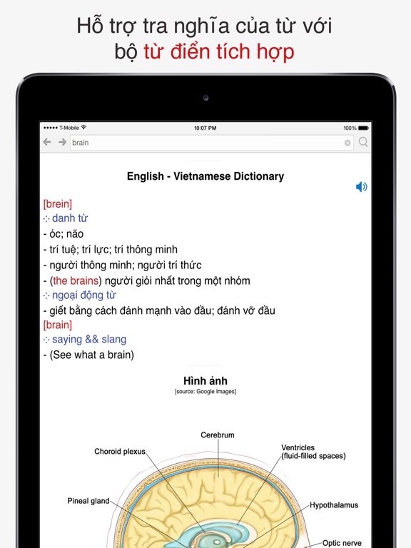 Screenshot #6 pour Tra câu Việt - Anh