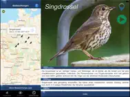 Vogel Id Schweiz ipad bilder 3