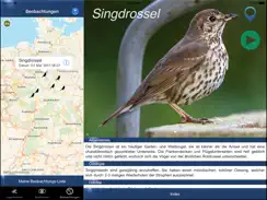 Vogel Id Schweiz iPad image 4