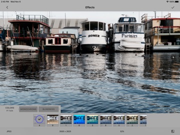 LineEngraver Photo Editor iPad screenshot