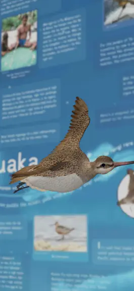 Game screenshot Tuia Mātauranga mod apk