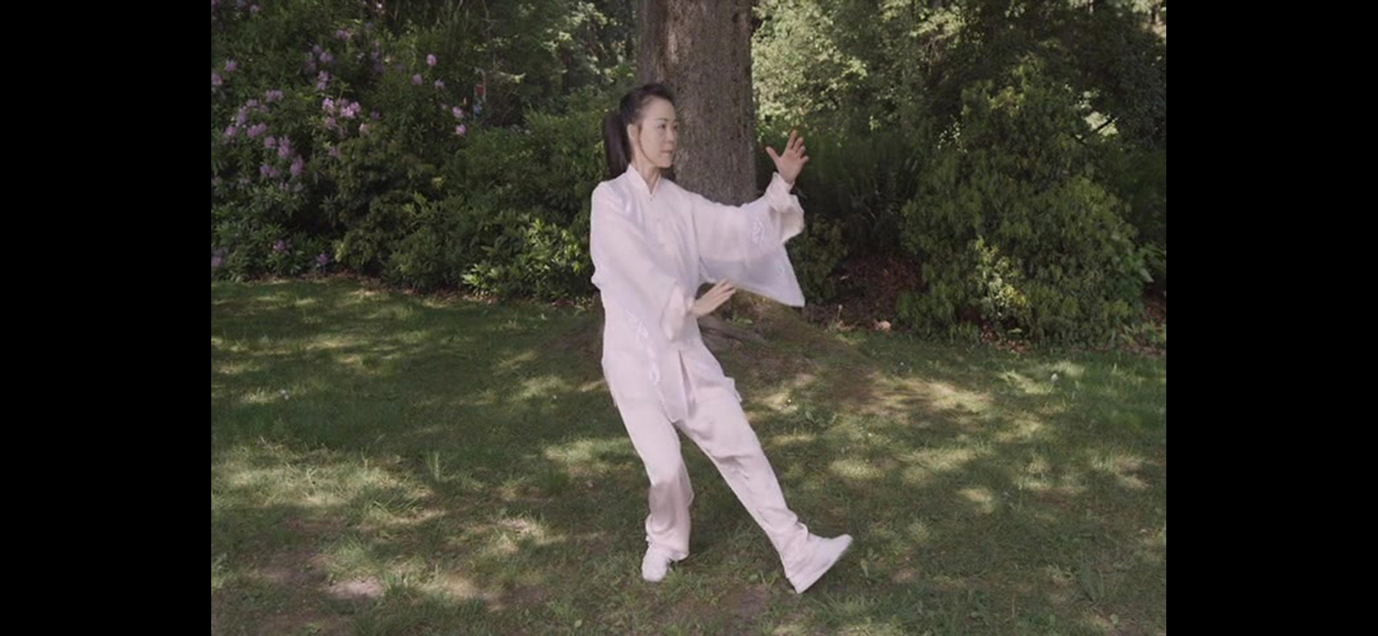 Tai Chi for Beginners 48 Form