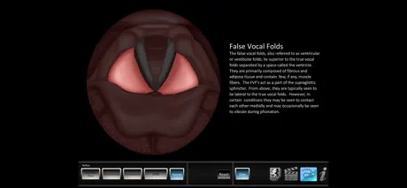 Vocal Pathology: Reflux