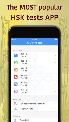 Game screenshot HSK-1 online test / HSK exam mod apk