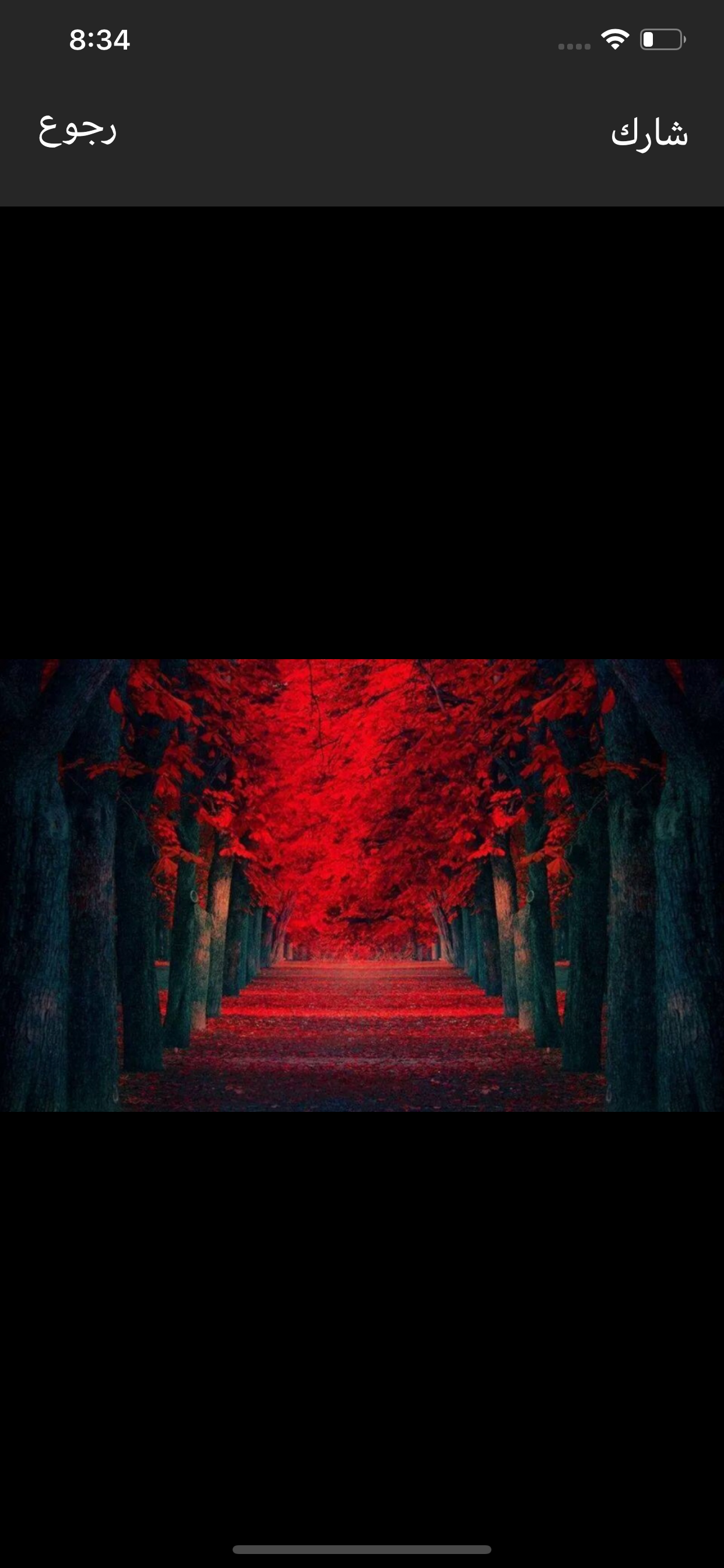 اجمل صور