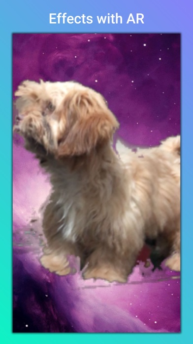 Screenshot #3 pour Puppy+