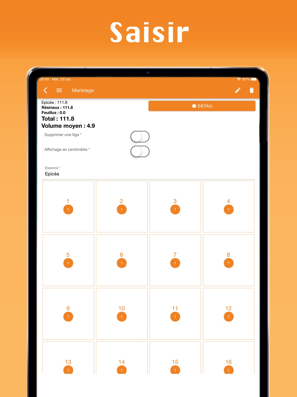 iPad screenshot