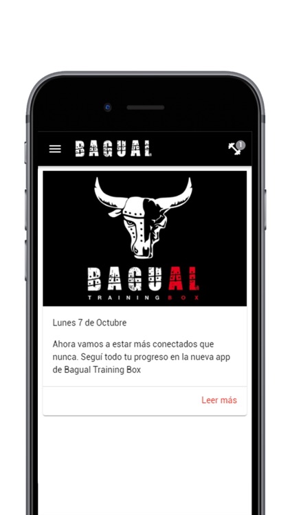 Bagual Training Box