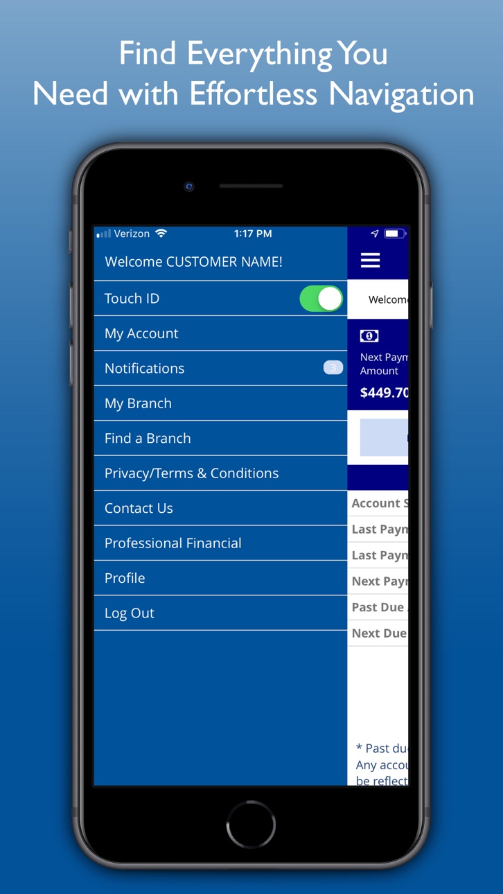 iPhone screenshot
