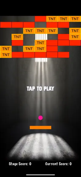 Game screenshot Jail Breakout Challenge apk