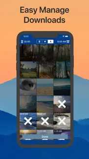 nature lite айфон картинки 3