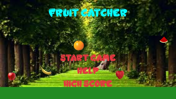Fruits Catches