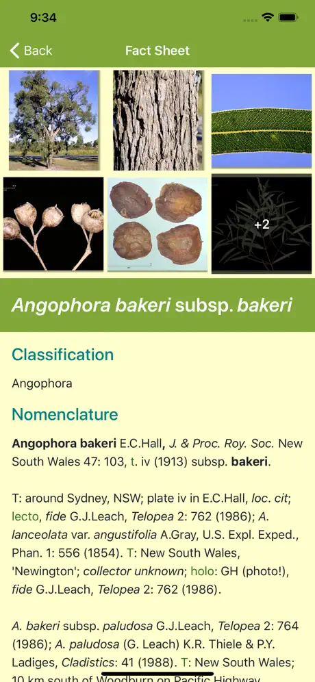EUCLID Eucalypts of Australia