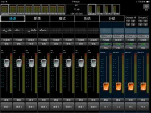 CONFER-X Digital Mixer screenshot 1