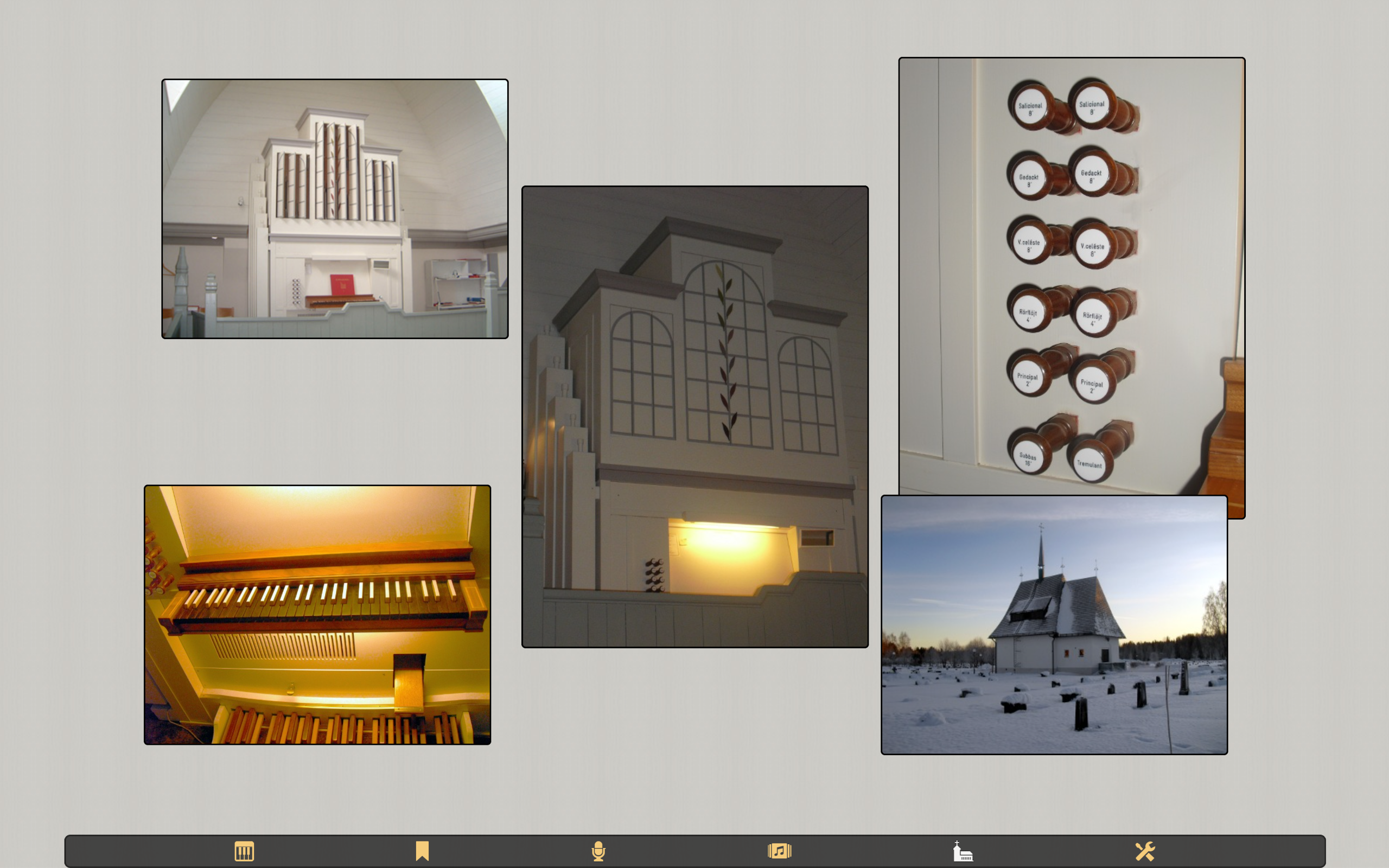 MenzelOrgan screenshot 6