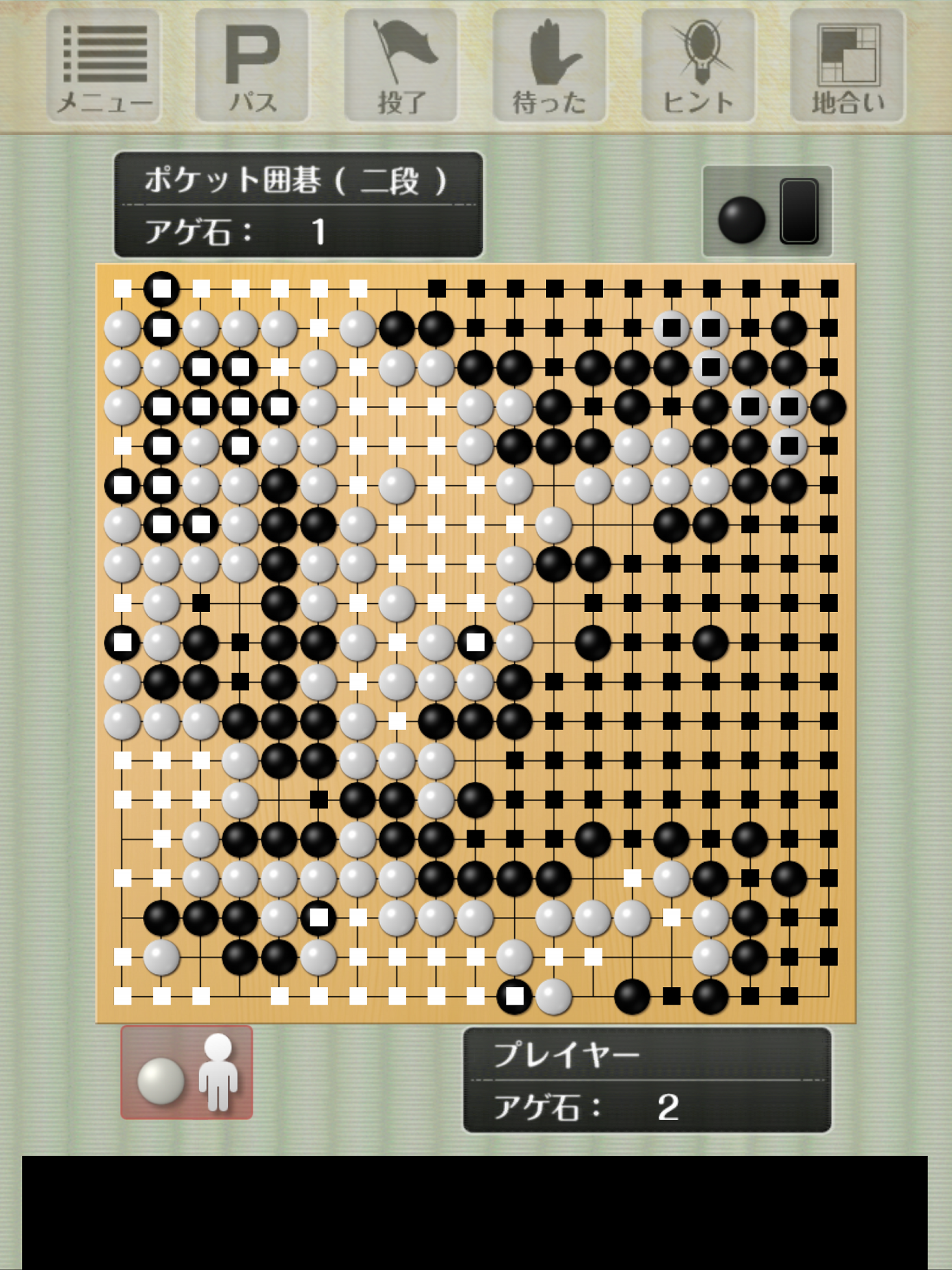 PocketIgo