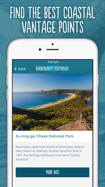 Wild About Whales screenshot-3