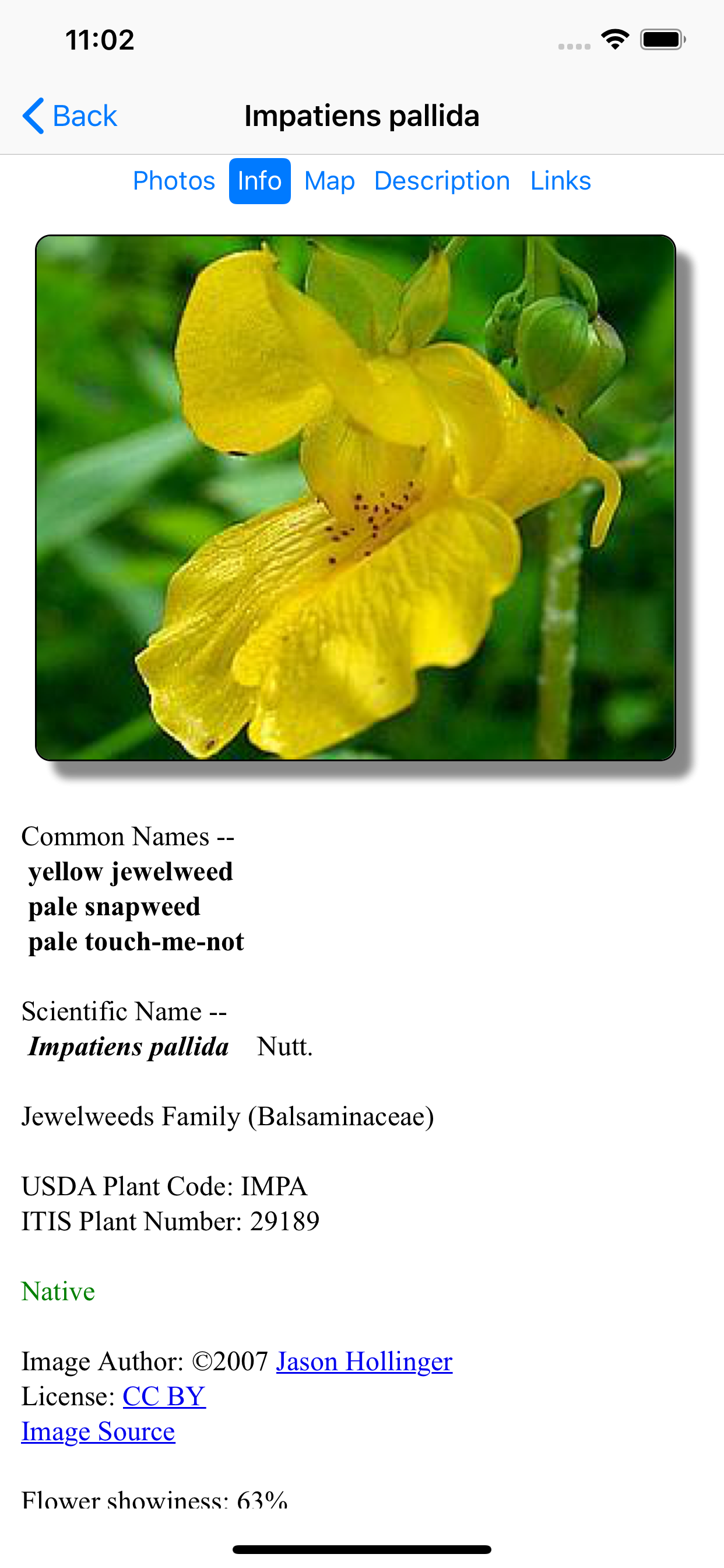 Ohio Wildflowers