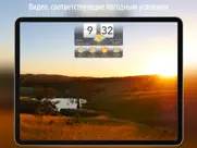 погода hd live айпад изображения 3