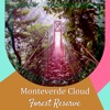 Monteverde Cloud