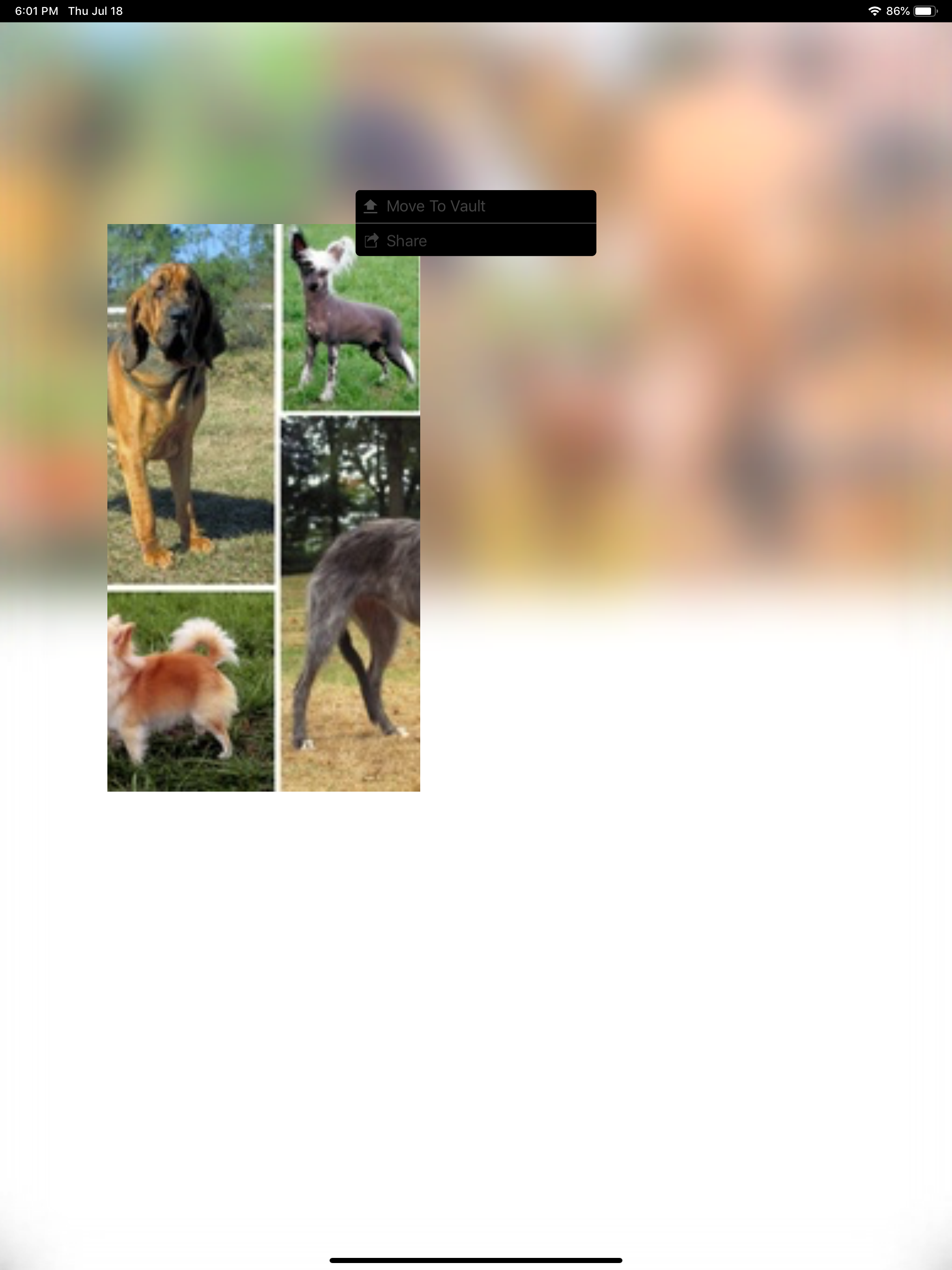 Personal - Private Photo Vault