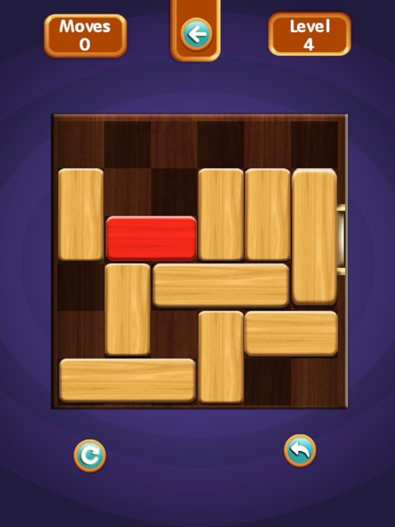 Unblock Puzzle Pro iPad screenshot