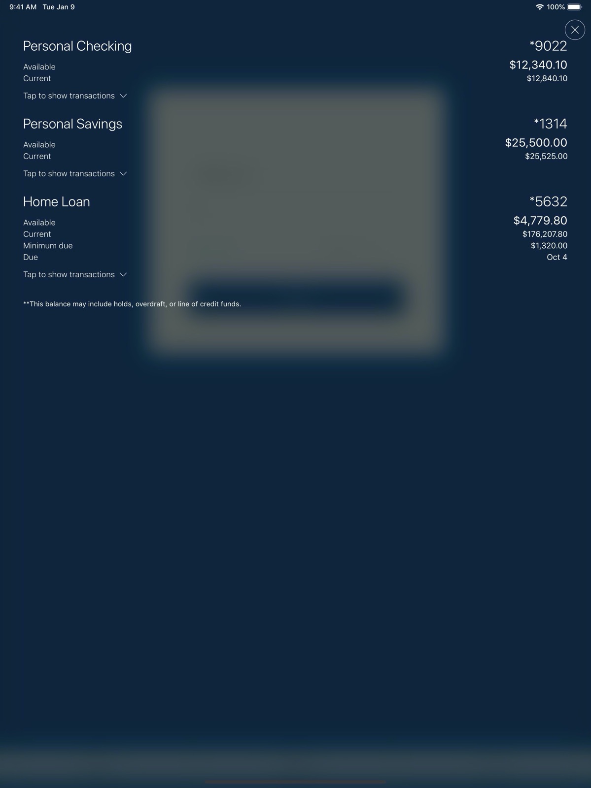 AdelFi Christian Banking ipad screenshot 1