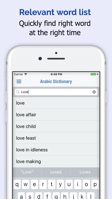 アラビア語辞書 +のおすすめ画像2
