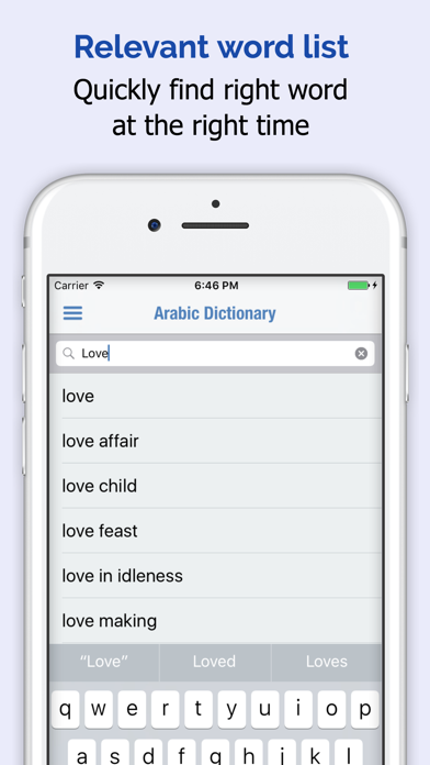 Arabic Dictionary + Screenshot