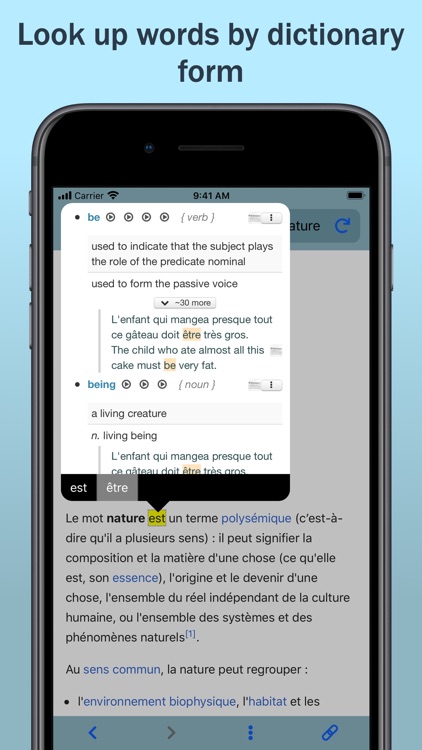 LinguaBrowse screenshot-3
