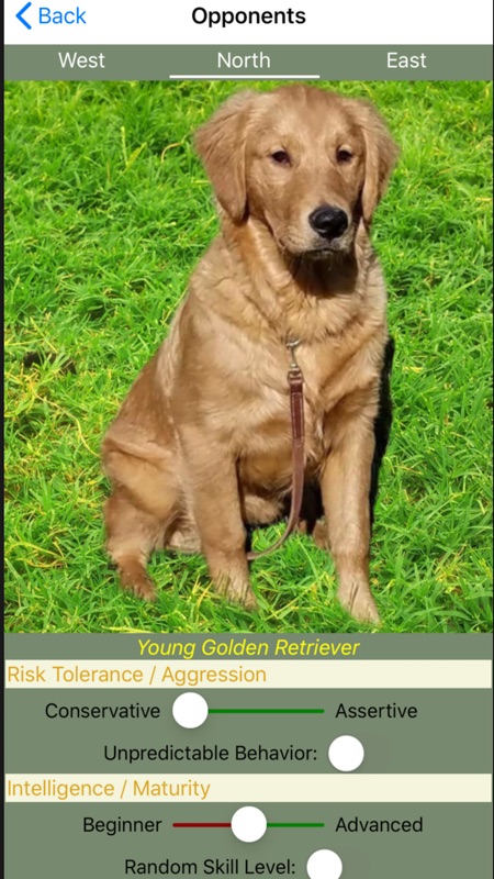 Rummy: K9 Shanghai Rum screenshot 3